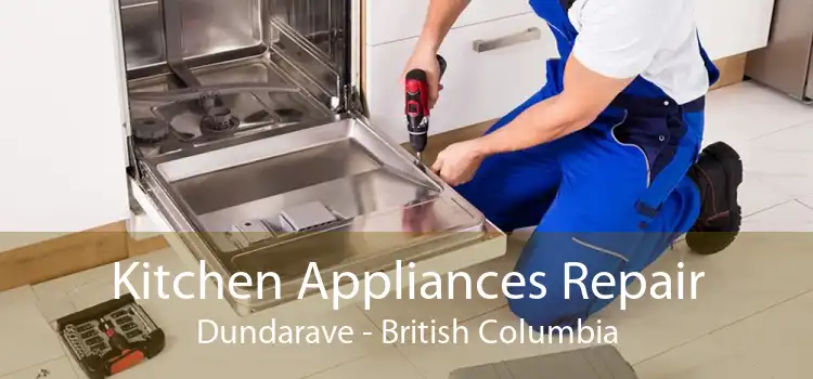 Kitchen Appliances Repair Dundarave - British Columbia