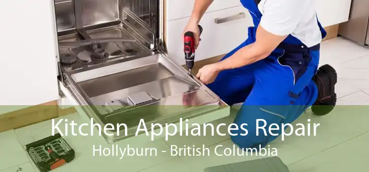 Kitchen Appliances Repair Hollyburn - British Columbia