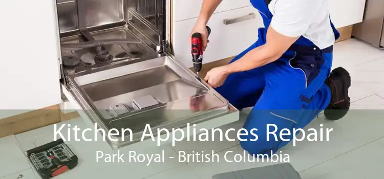 Kitchen Appliances Repair Park Royal - British Columbia
