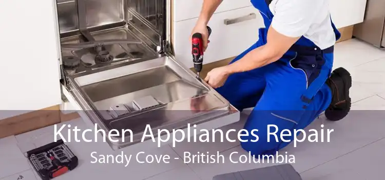 Kitchen Appliances Repair Sandy Cove - British Columbia