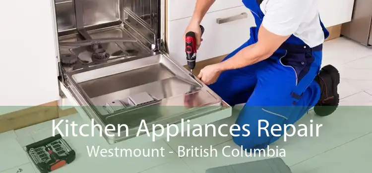 Kitchen Appliances Repair Westmount - British Columbia