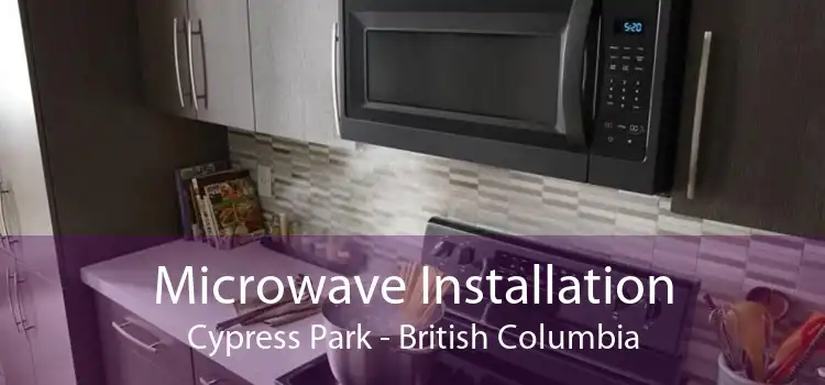 Microwave Installation Cypress Park - British Columbia