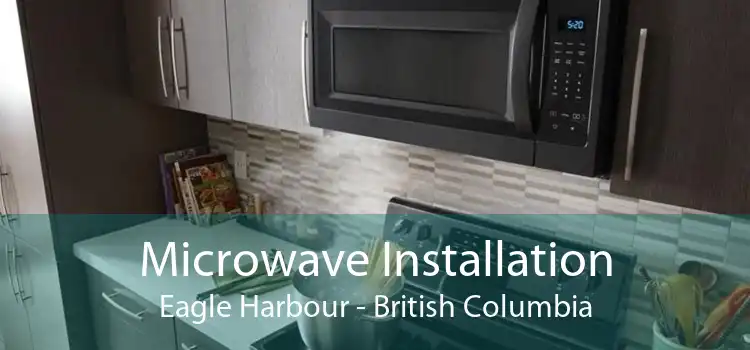 Microwave Installation Eagle Harbour - British Columbia