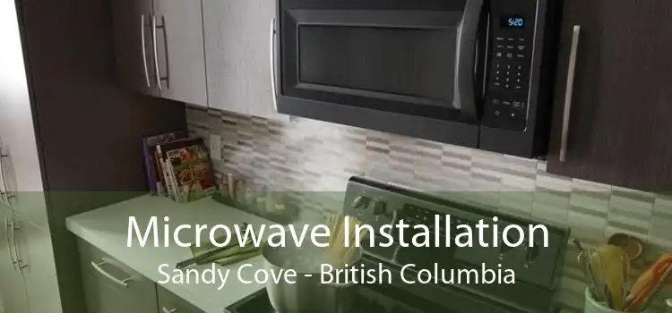 Microwave Installation Sandy Cove - British Columbia
