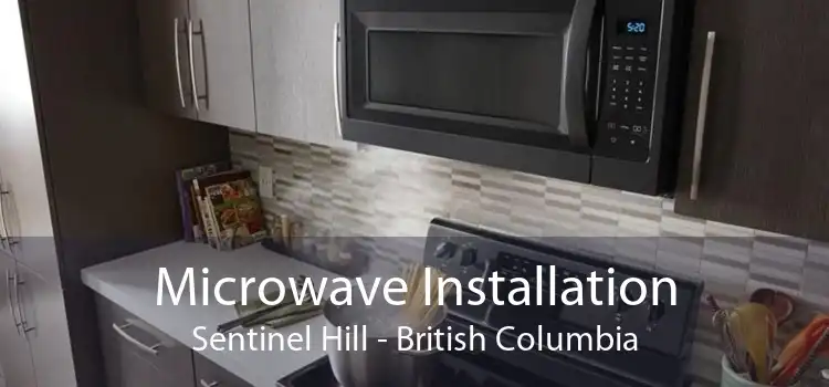 Microwave Installation Sentinel Hill - British Columbia