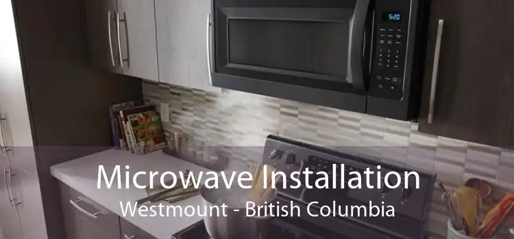 Microwave Installation Westmount - British Columbia