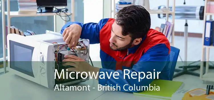 Microwave Repair Altamont - British Columbia