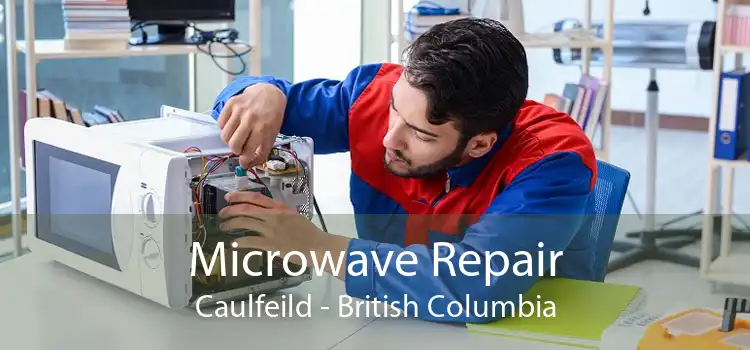 Microwave Repair Caulfeild - British Columbia