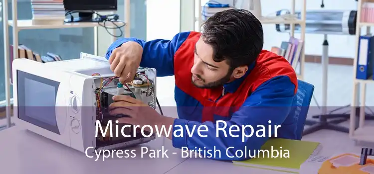 Microwave Repair Cypress Park - British Columbia