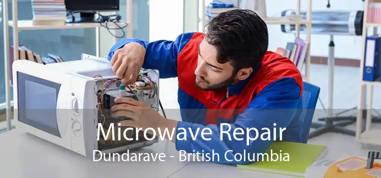 Microwave Repair Dundarave - British Columbia