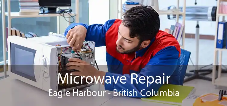 Microwave Repair Eagle Harbour - British Columbia