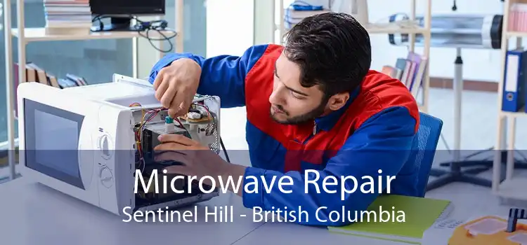 Microwave Repair Sentinel Hill - British Columbia