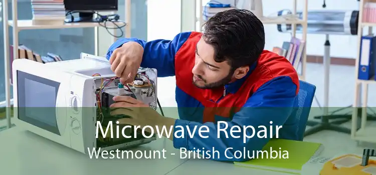 Microwave Repair Westmount - British Columbia