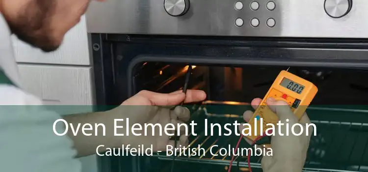 Oven Element Installation Caulfeild - British Columbia