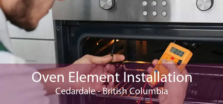 Oven Element Installation Cedardale - British Columbia