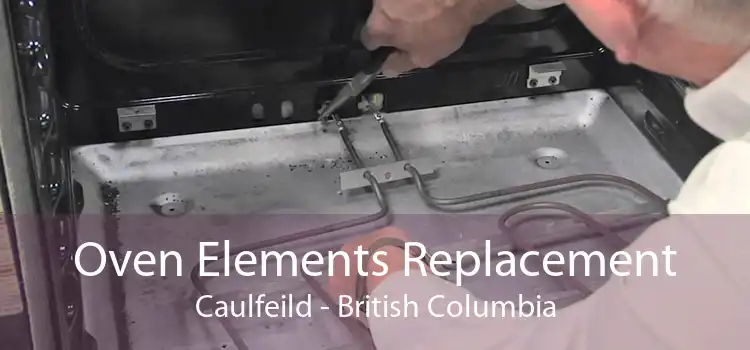 Oven Elements Replacement Caulfeild - British Columbia