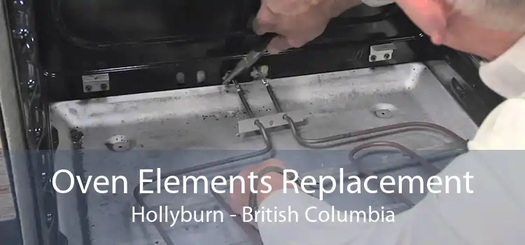 Oven Elements Replacement Hollyburn - British Columbia