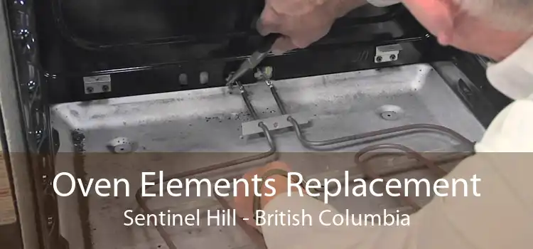 Oven Elements Replacement Sentinel Hill - British Columbia