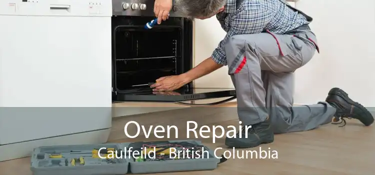 Oven Repair Caulfeild - British Columbia