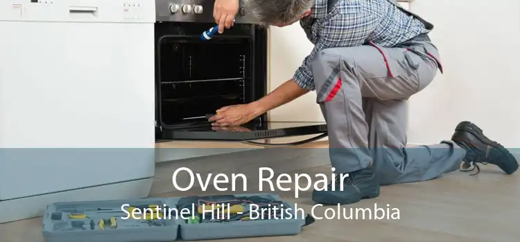 Oven Repair Sentinel Hill - British Columbia