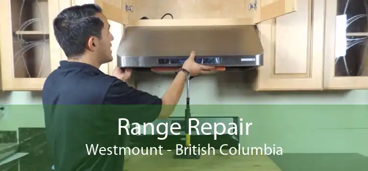 Range Repair Westmount - British Columbia
