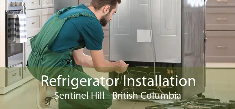 Refrigerator Installation Sentinel Hill - British Columbia