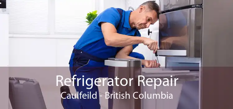 Refrigerator Repair Caulfeild - British Columbia