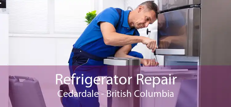 Refrigerator Repair Cedardale - British Columbia