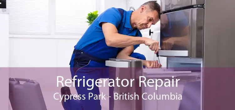 Refrigerator Repair Cypress Park - British Columbia