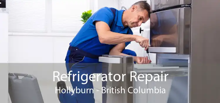Refrigerator Repair Hollyburn - British Columbia