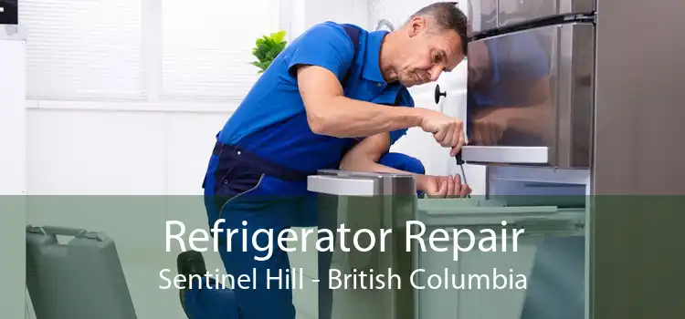 Refrigerator Repair Sentinel Hill - British Columbia