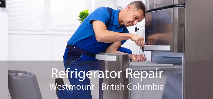 Refrigerator Repair Westmount - British Columbia