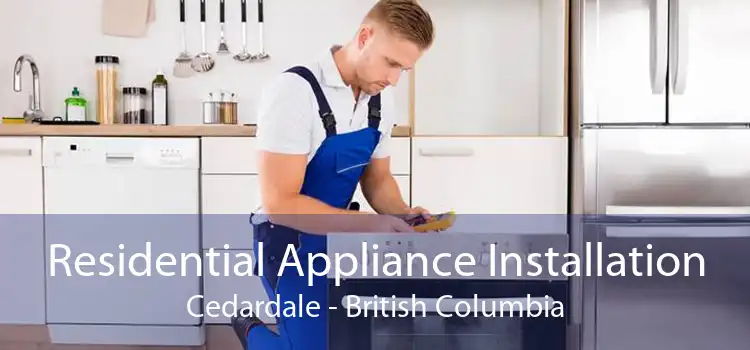 Residential Appliance Installation Cedardale - British Columbia