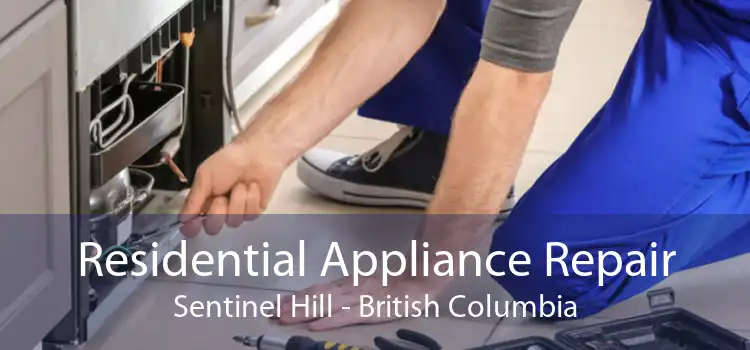 Residential Appliance Repair Sentinel Hill - British Columbia