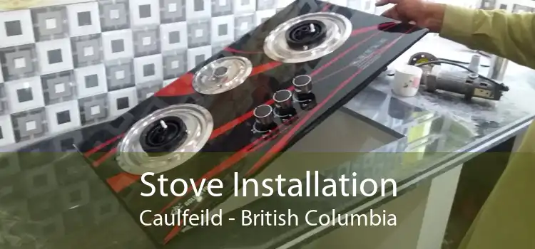 Stove Installation Caulfeild - British Columbia