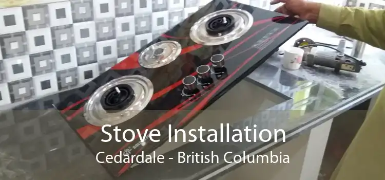Stove Installation Cedardale - British Columbia