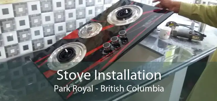 Stove Installation Park Royal - British Columbia