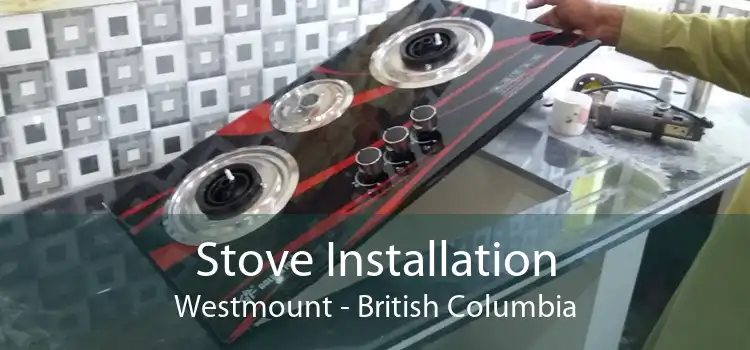 Stove Installation Westmount - British Columbia