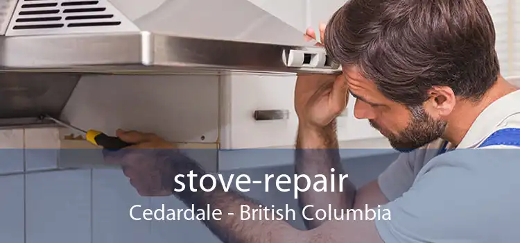 stove-repair Cedardale - British Columbia