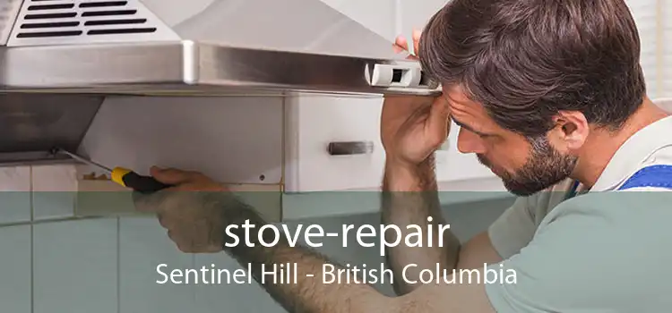 stove-repair Sentinel Hill - British Columbia