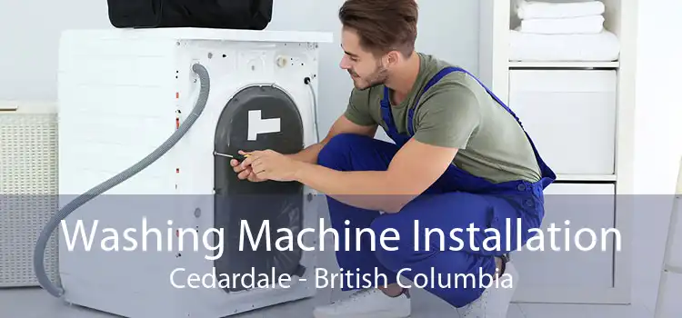 Washing Machine Installation Cedardale - British Columbia
