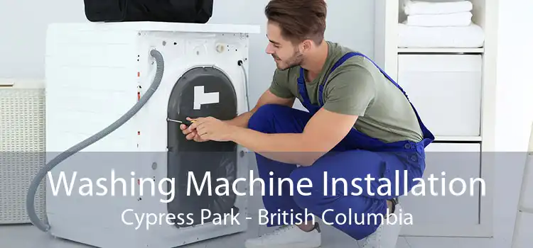 Washing Machine Installation Cypress Park - British Columbia