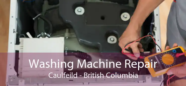 Washing Machine Repair Caulfeild - British Columbia