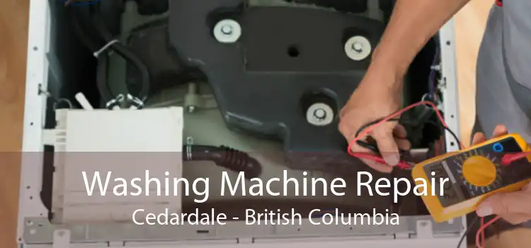 Washing Machine Repair Cedardale - British Columbia