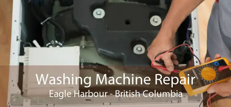 Washing Machine Repair Eagle Harbour - British Columbia