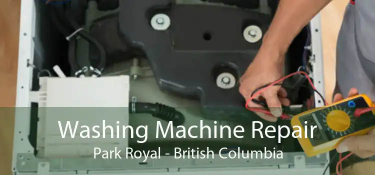 Washing Machine Repair Park Royal - British Columbia