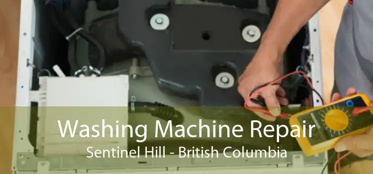 Washing Machine Repair Sentinel Hill - British Columbia