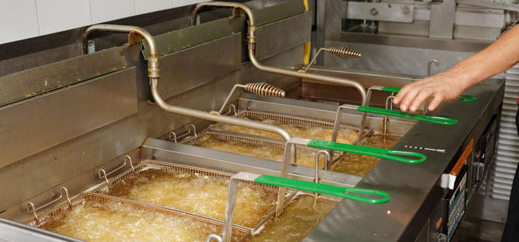 AEG Commercial Fryer Repair in West Vancouver