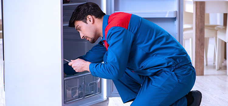 AEG Freezer Repair Services in West Vancouver